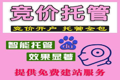 百度竞价策略：实战案例分析